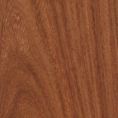 machiche jatoba cerezobrasileño